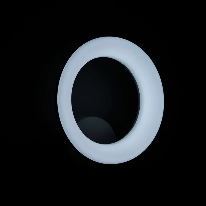 Бра CITILUX Паркер CL225B310