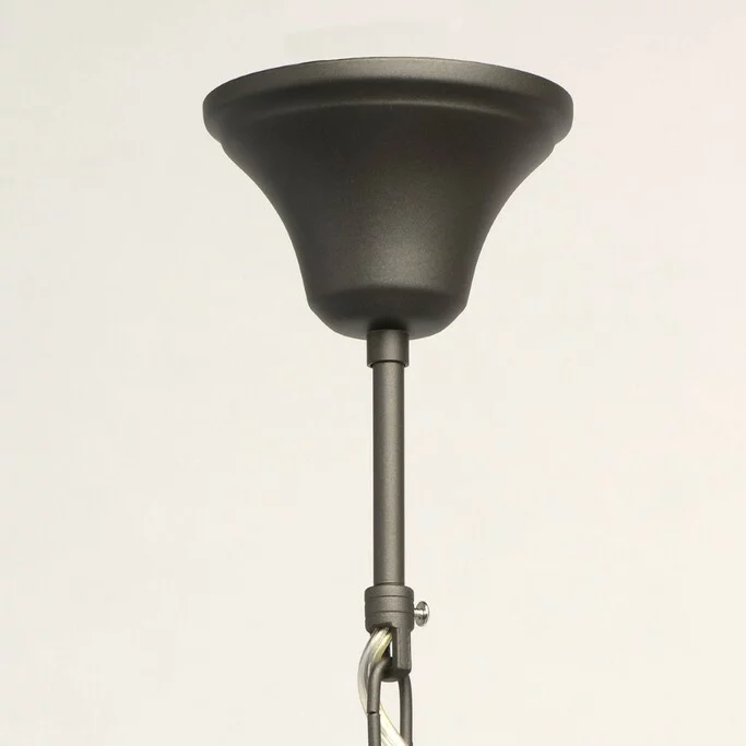 Люстра MW-LIGHT ДельРей 700011308