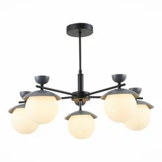 Люстра EVOLUCE Genova SLE220202-05