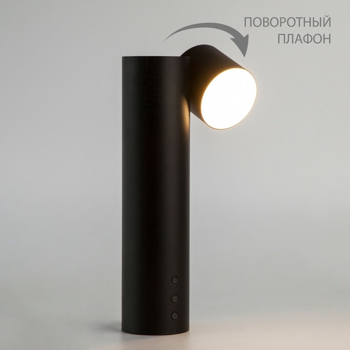 Лампа настольная EUROSVET PREMIER 80425/1