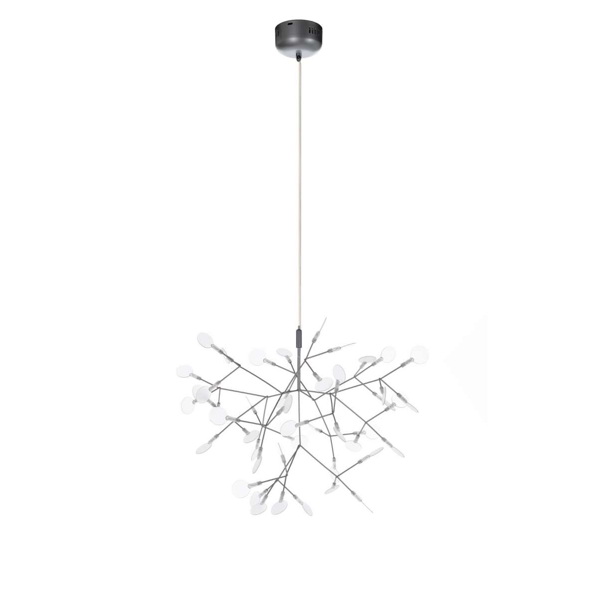 Люстра LOFT IT Heracleum 9022-45S