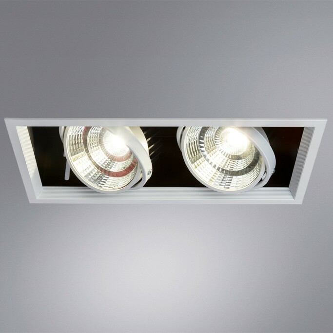 Точечный светильник ARTE LAMP MERGA A8450PL-2WH
