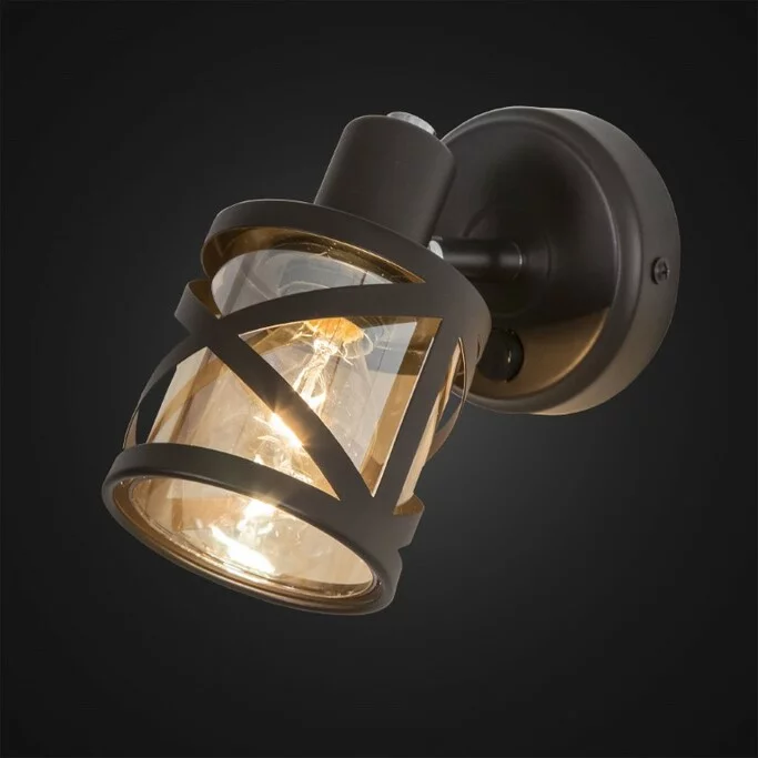 Спот CITILUX Гессен CL536615