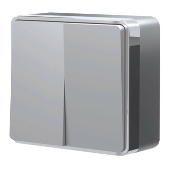Werkel W5020006  Выключатель двухклавишный Gallant (серебряный)