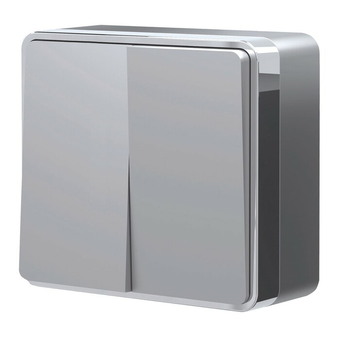 Werkel W5020006  Выключатель двухклавишный Gallant (серебряный)