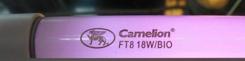 Лампа Camelion люминесцентная FT8-18W BIO _6191