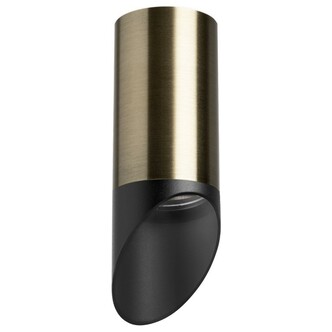 Точечный светильник LIGHTSTAR Rullo R43137