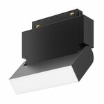 Трековая система MAYTONI Track lamps TR013-2-10W3K-B