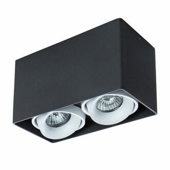 Точечный светильник ARTE LAMP PICTOR A5654PL-2BK