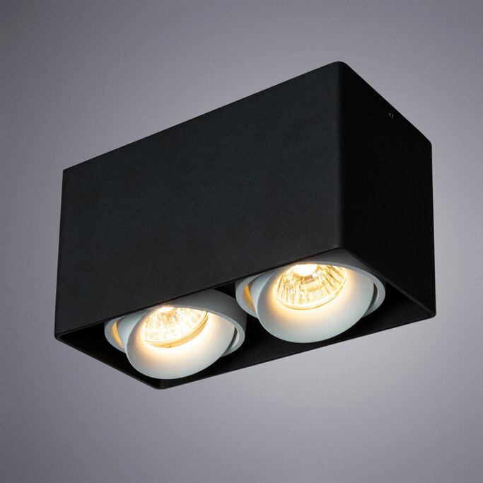 Точечный светильник ARTE LAMP PICTOR A5654PL-2BK