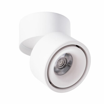 Точечный светильник ARTE LAMP ARCTURUS A7715PL-1WH
