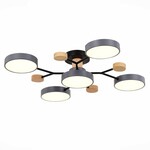 Люстра EVOLUCE FAEMA SLE6006-702-05