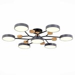 Люстра EVOLUCE FAEMA SLE6006-702-07