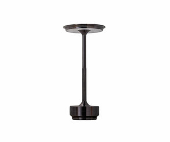 Лампа настольная KINK LIGHT Ренна 07207-T,19