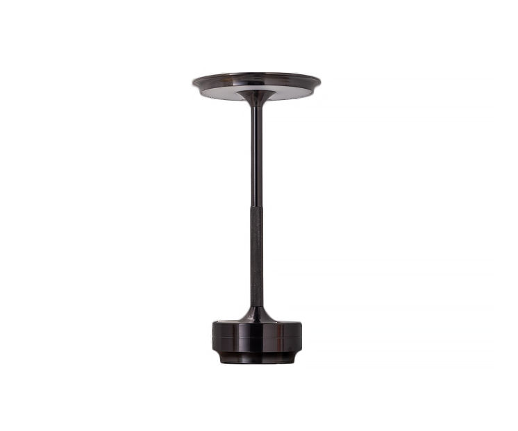 Лампа настольная KINK LIGHT Ренна 07207-T,19