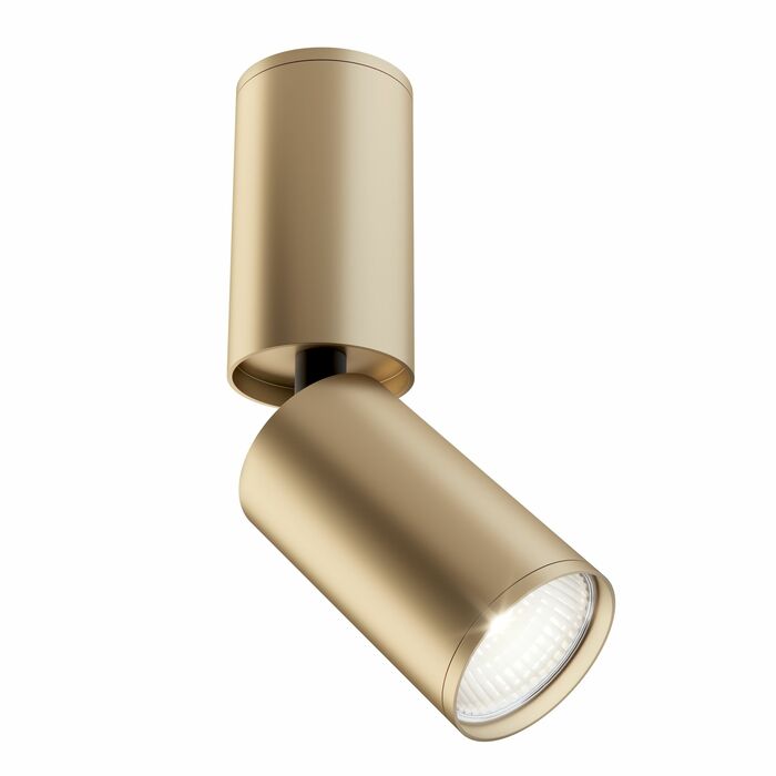 Точечный светильник MAYTONI FOCUS S C051CL-01G