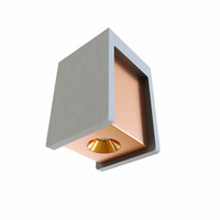 Точечный светильник LOFT IT Architect OL1073-GG