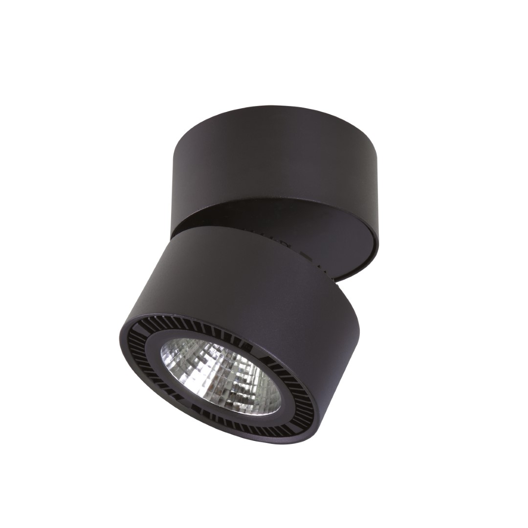 Точечный светильник LIGHTSTAR Forte Muro 213817