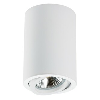 Точечный светильник LIGHTSTAR Rullo 214406
