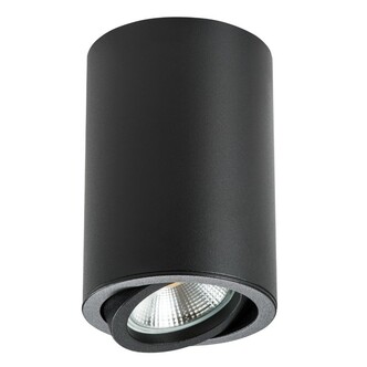 Точечный светильник LIGHTSTAR Rullo 214407