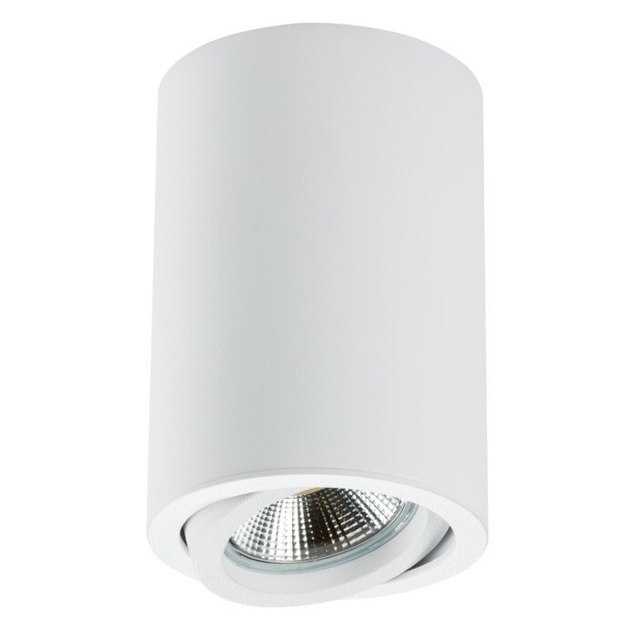 Точечный светильник LIGHTSTAR Rullo 214406