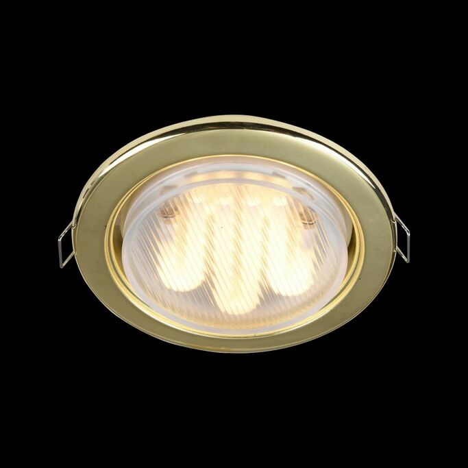 Точечный светильник MAYTONI Metal DL293-01-G