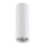 Точечный светильник LIGHTSTAR Rullo 214496