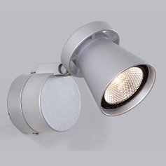 Спот CITILUX Дубль-1 CL556511