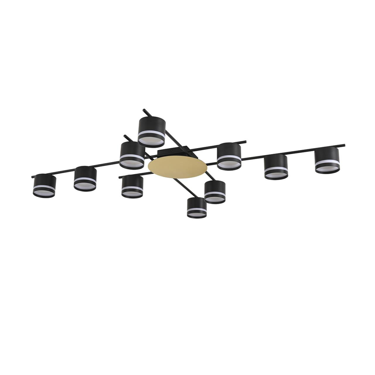 Люстра LUMION BENUA 8304/10C