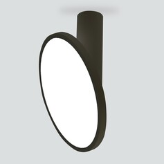 Точечный светильник ELEKTROSTANDART Brain DLS029