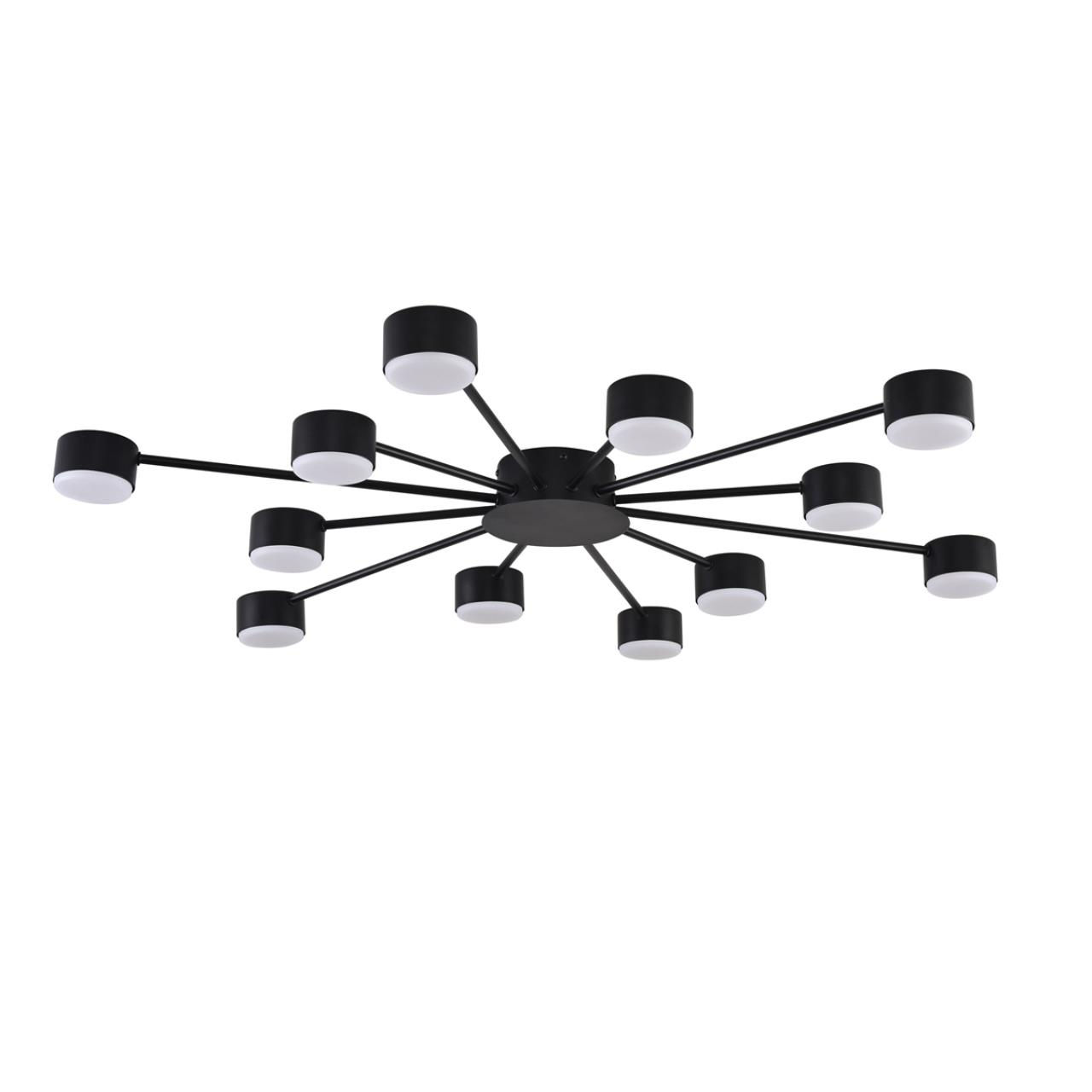 Люстра LUMION TORINA 8344/12C