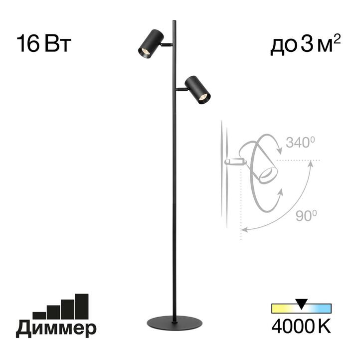 Торшер CITILUX TWIN CL809011N