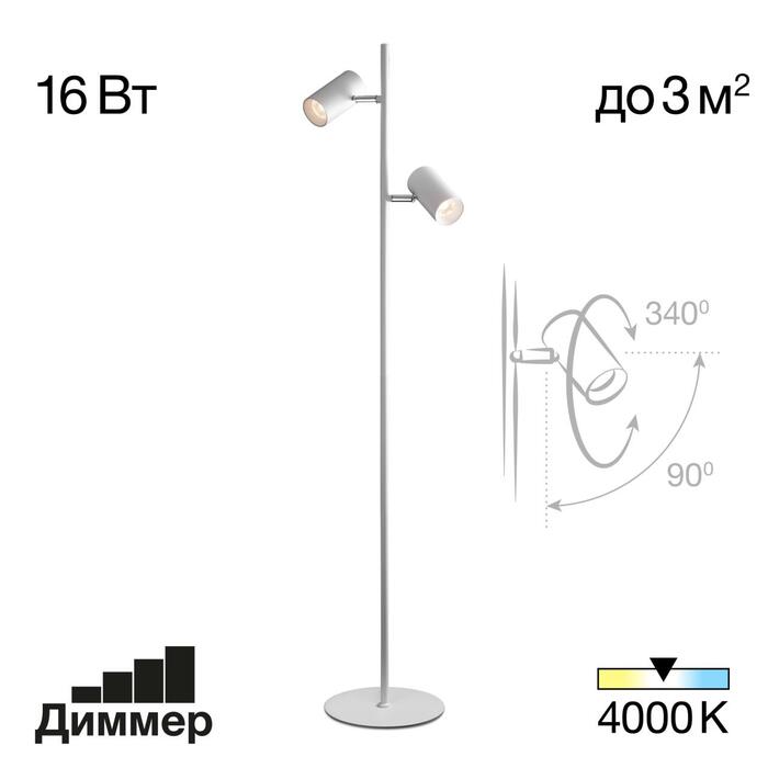 Торшер CITILUX TWIN CL809010N