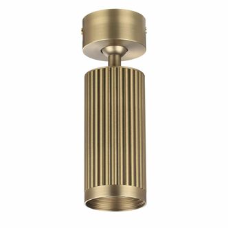 Точечный светильник ODEON LIGHT MANCHESTER 7013/1C