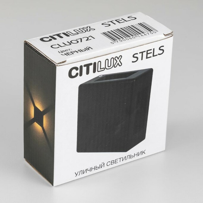 Уличный светильник CITILUX STELS CLU0721