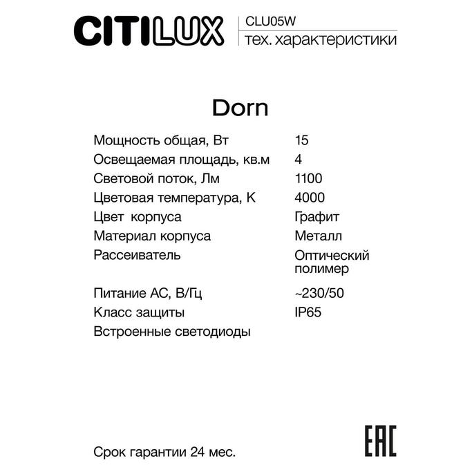 Уличный светильник CITILUX Dorn CLU05W