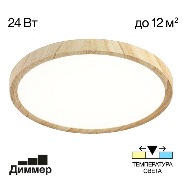 Тарелка CITILUX Бейсик CL738242V