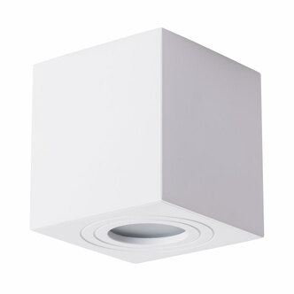 Точечный светильник ARTE LAMP GALOPIN A1461PL-1WH