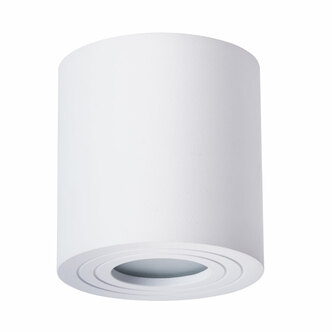 Точечный светильник ARTE LAMP GALOPIN A1460PL-1WH