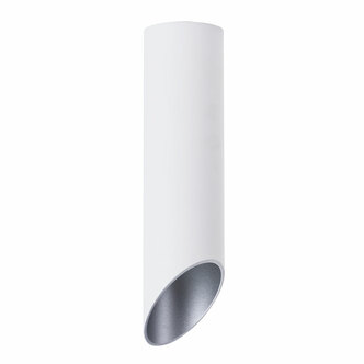 Точечный светильник ARTE LAMP PILON-SILVER A1535PL-1WH