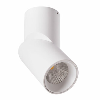 Точечный светильник ARTE LAMP ORIONE A7717PL-1WH