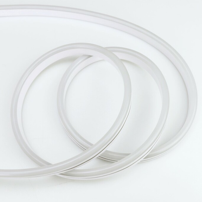 ELEKTROSTANDART SLS 02 RGB IP 65   Набор гибкого неона SLS 02 RGB IP 65 односторонний мульти, 5м