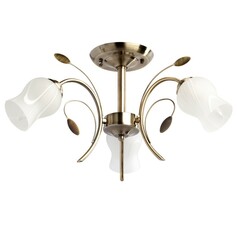 Люстра MW-LIGHT Флора 256018103