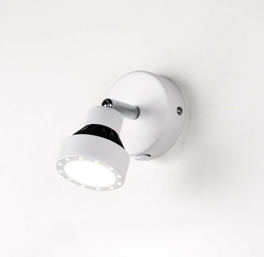 Спот CITILUX Данди CL557511