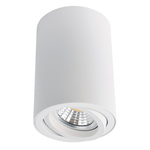 Точечный светильник ARTE SENTRY A1560PL-1WH