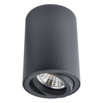 Точечный светильник ARTE SENTRY A1560PL-1BK