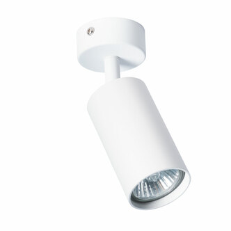 Спот ARTE AQUARIUS A3216PL-1WH