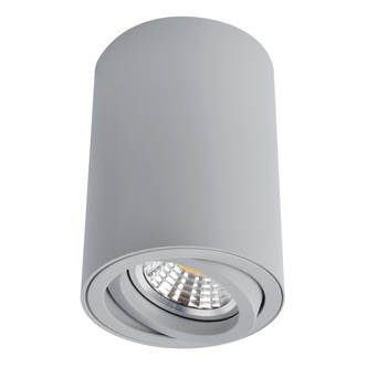 Точечный светильник ARTE SENTRY A1560PL-1GY