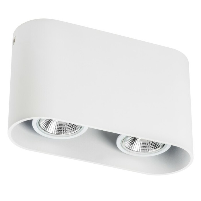 Точечный светильник LIGHTSTAR Rullo 214866