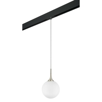 LIGHTSTAR PRO813033 Светильник д 1-фазн трека GLOBO 1х40W E14 ШАМПАНЬ БЕЛЫЙ ЧЕРНЫЙ (813033+595007)